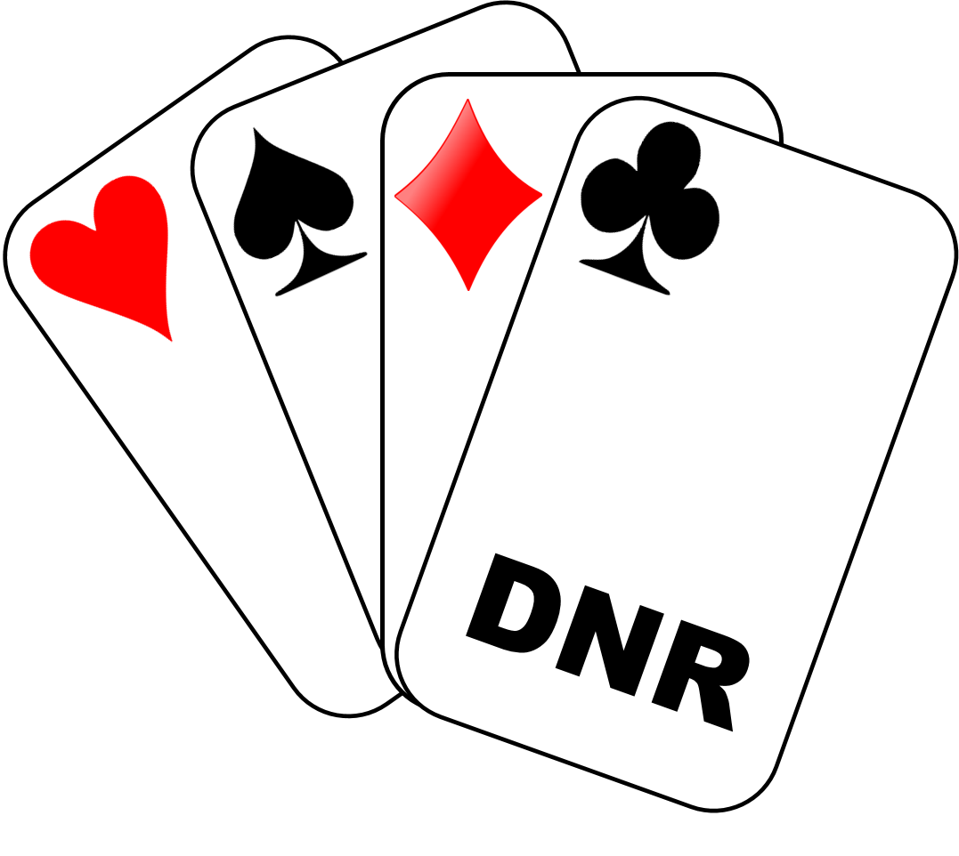 DNR Fun Teams